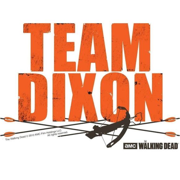 AMC Walking Dead Team Dixon Sweatshirt Hoodie, Unisex Size L, New without Tag - Picture 2 of 4